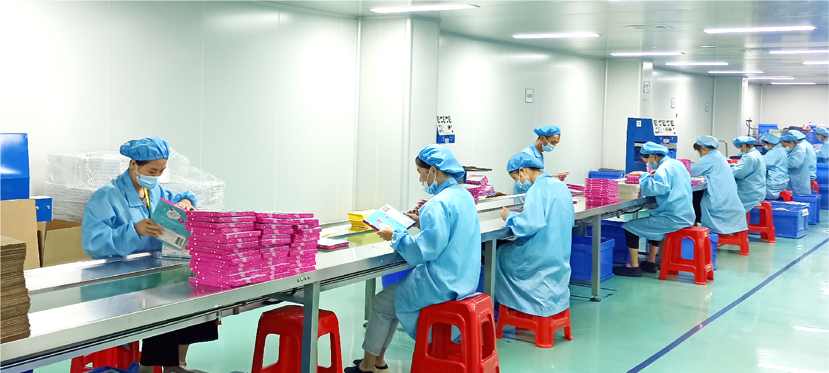 High-Speed Packaging & Palletizing System
